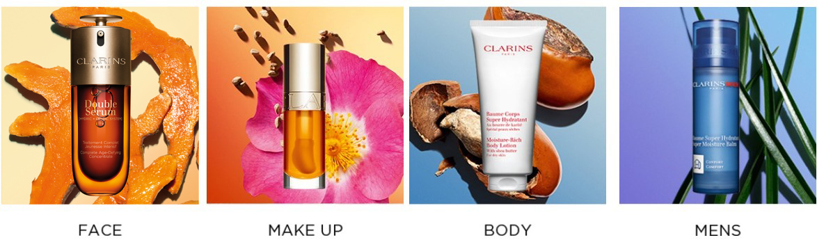 Screenshot 10 4 2024 211349 Clarins Synergysalon.online